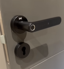 Kale KD05050/130 Elektronik Kapı Kolu – Şifreli & Kartlı & Parmak İzli Sistem